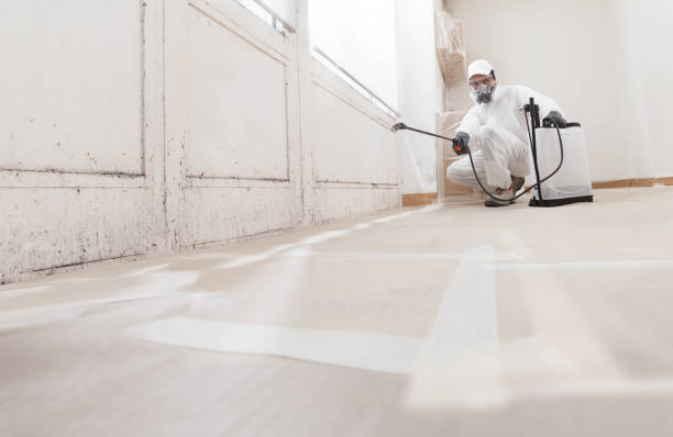 24/7 Emergency Black Mold Removal experts in Linden, TN