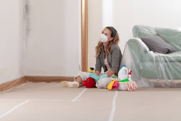 Reliable Black Mold Removal contractor in Linden, TN by WQB Mold Removal